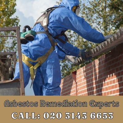 Asbestos Remediation Experts Selsdon