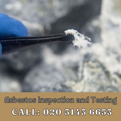 Comprehensive Asbestos Inspection and Testing Services in Selsdon